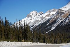 55 Mount Weed From Icefields Parkway.jpg